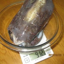 キロに届かず。