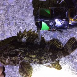 天保山、ダウンショットで怒涛の33連発！