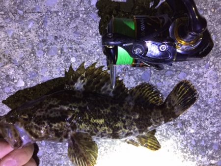 天保山、ダウンショットで怒涛の33連発！