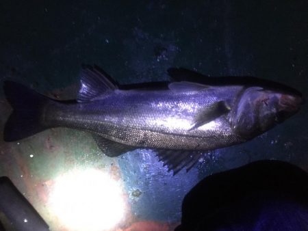 バチ抜け祭り、7バイト7キャッチ！