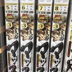 久しぶりの投稿