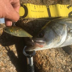 ボトム ズル引きパターンで