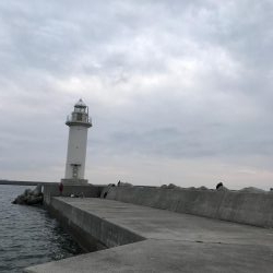 どんな状況でも活路はある