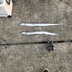 タチウオ狙いボウズなし