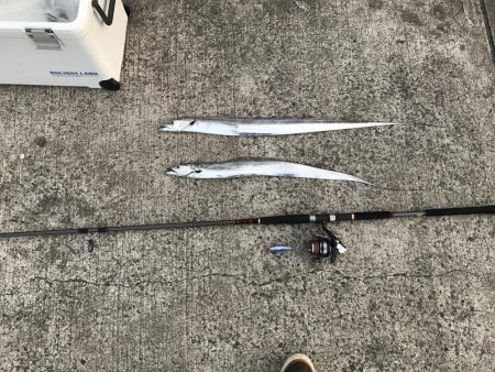 タチウオ狙いボウズなし