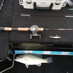 GW終盤まだシヤロー好調