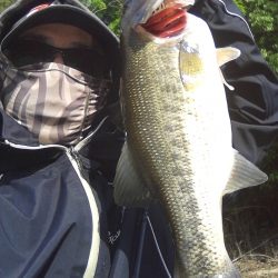 バスも寒いのは嫌い…