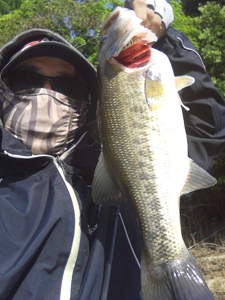 バスも寒いのは嫌い…