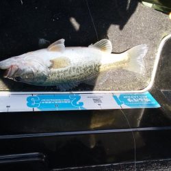 GW終盤の爆風は風裏で