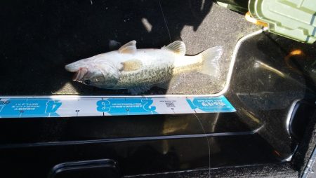 GW終盤の爆風は風裏で