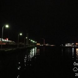 雨天後のフェリーターミナルのヘチ釣り（小キビレ爆釣）