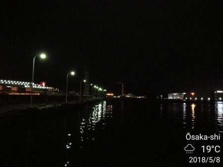 雨天後のフェリーターミナルのヘチ釣り（小キビレ爆釣）