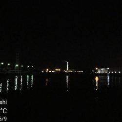 フェリーターミナルのヘチ釣り(自分キビレまだまだ行けます!w)