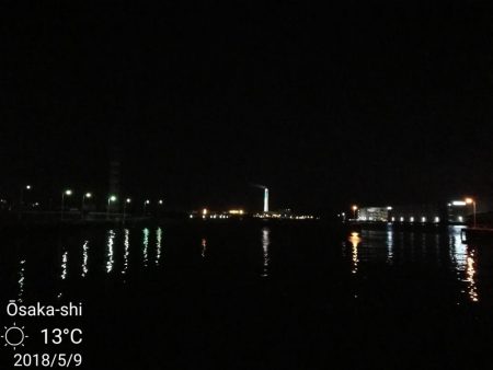 フェリーターミナルのヘチ釣り(自分キビレまだまだ行けます!w)