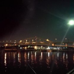 またフェリーターミナルのヘチ釣り（一応坊主じゃない(笑)）