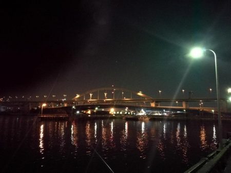 またフェリーターミナルのヘチ釣り（一応坊主じゃない(笑)）