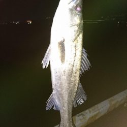 バッチリ、バチパターン