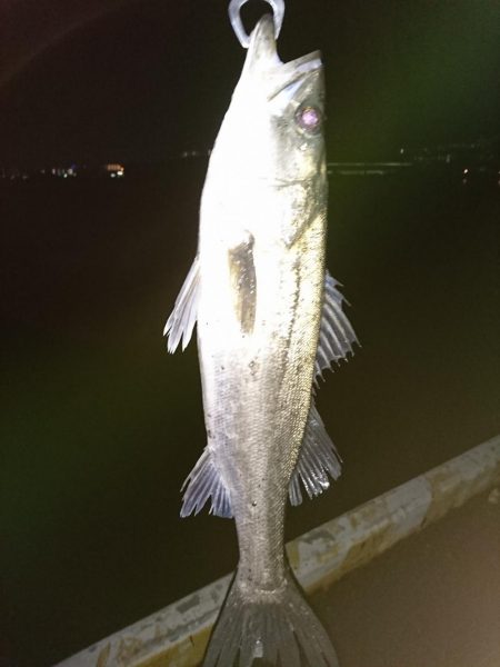 バッチリ、バチパターン