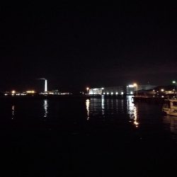 南港フェリーのキビレチヌ（毎度のヘチ釣り釣果結果報告）