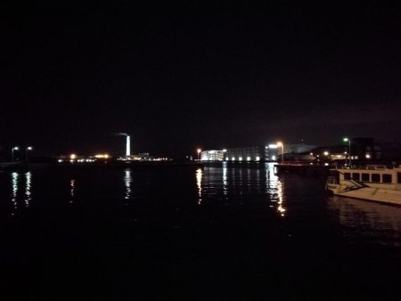 南港フェリーのキビレチヌ（毎度のヘチ釣り釣果結果報告）