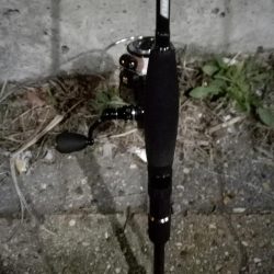 メバルはどこへ？