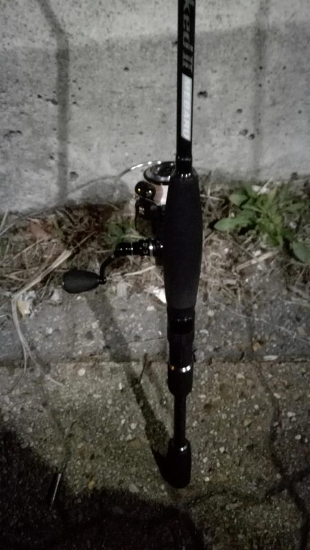 メバルはどこへ？