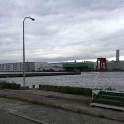 南港フェリーヘチ釣り（久々の朝マズメ行ってみた。）