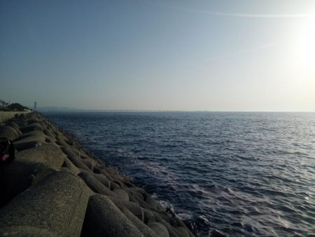 めばる調査のはずが、、