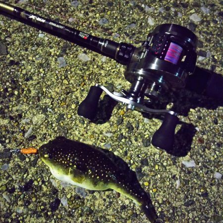 マゴチ狙いのはずが…