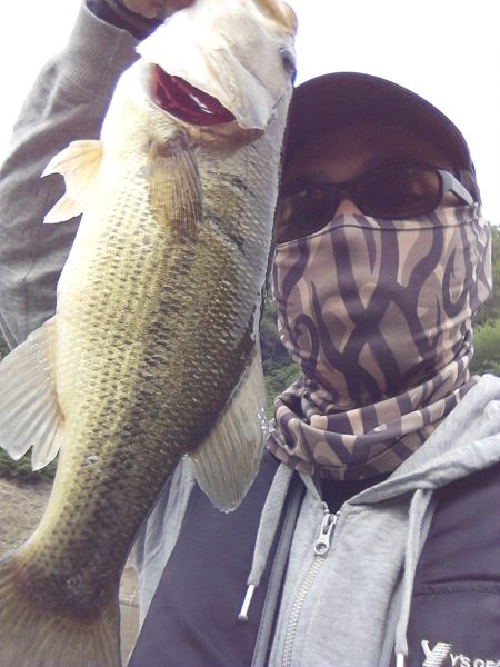 ちょっと注文多め?