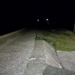 ビギナーズラック