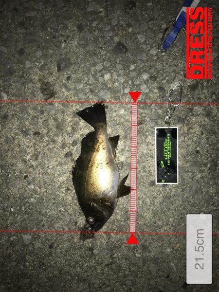 家族サービス後の夜釣り