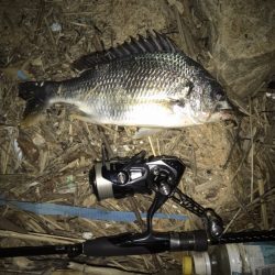 アクション変えたら