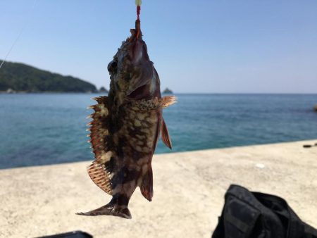 昼寝日和の波止場ビール♫