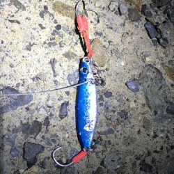 観潮船の港にて