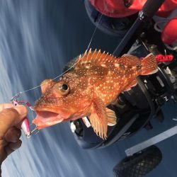 祝発売 ジグパラ TG 60g