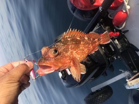 祝発売 ジグパラ TG 60g