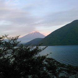 本栖湖　トラウト釣り