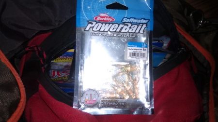 お昼過ぎに淀川へ行って来ました。