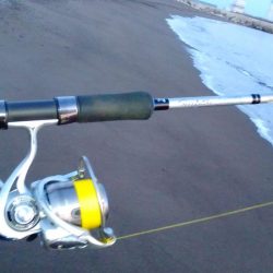 青物狙いで、合間にヒラメでもと思い夕方から参戦しました。