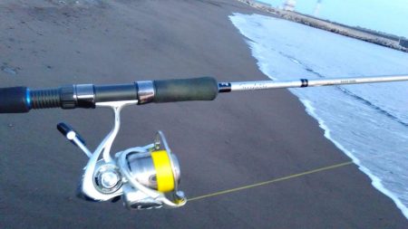 青物狙いで、合間にヒラメでもと思い夕方から参戦しました。