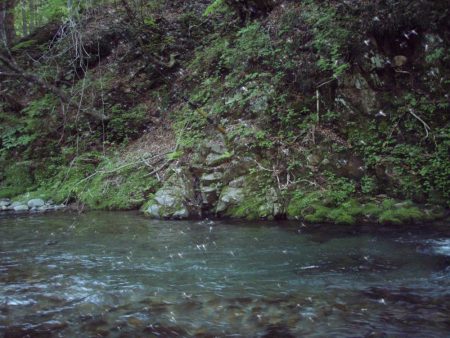 渓流ミノーイング