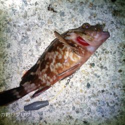 短時間穴釣りで8匹