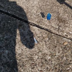 もう少しかかるかな?