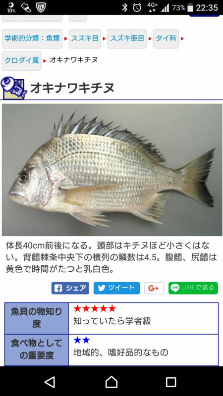 オキナワキチヌだと思います。