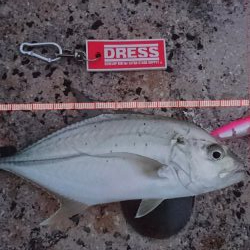 ちょっと渋い３バイト１ヒット