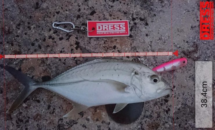 ちょっと渋い３バイト１ヒット