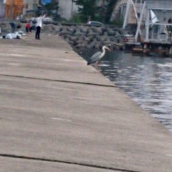 そろそろかな？