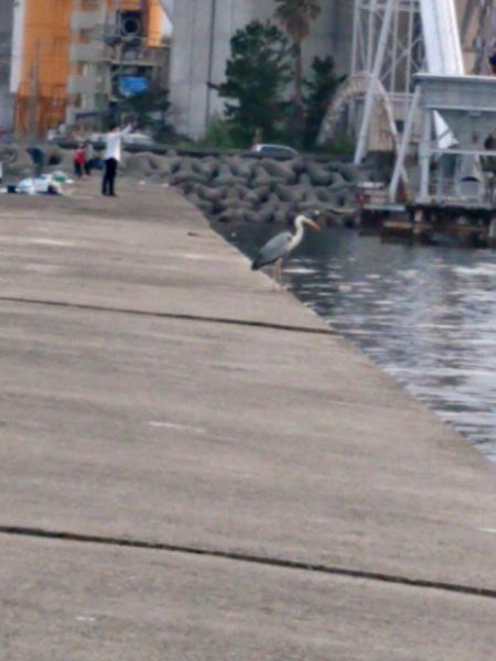 そろそろかな？