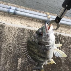 家族で投げ釣り